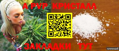 индика Краснодар