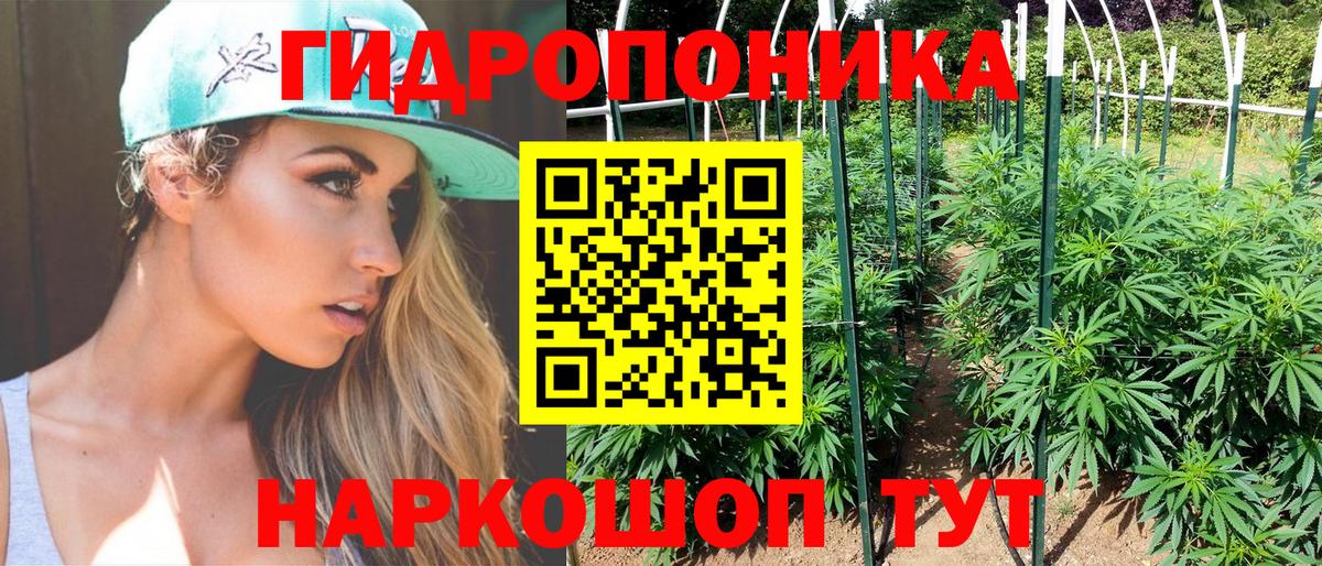 Кировск  Шишки марихуана план  Канабис THC 21%  Вход с VPN 